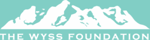 White silhouette of a mountain range above white text reading "THE WYSS FOUNDATION" on a gray background.